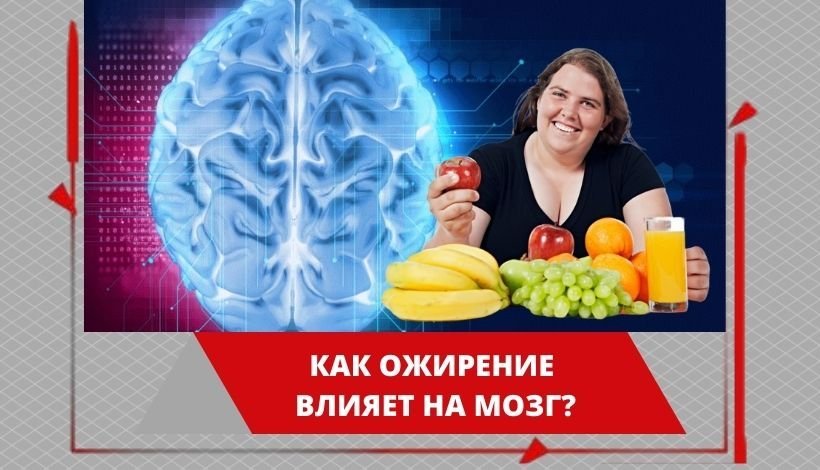 как ожирение влияет на мозг